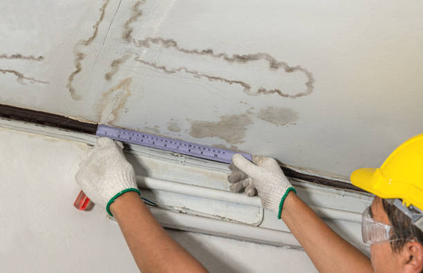 Affordable Water Damage Repair solutions in Mohler, WA
